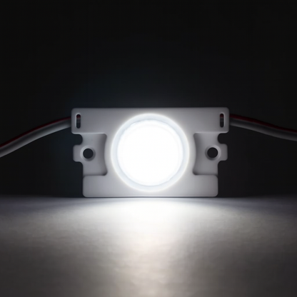 LED Module – 12V Cool White (6000–6500K) 1.4W – Pack of 20